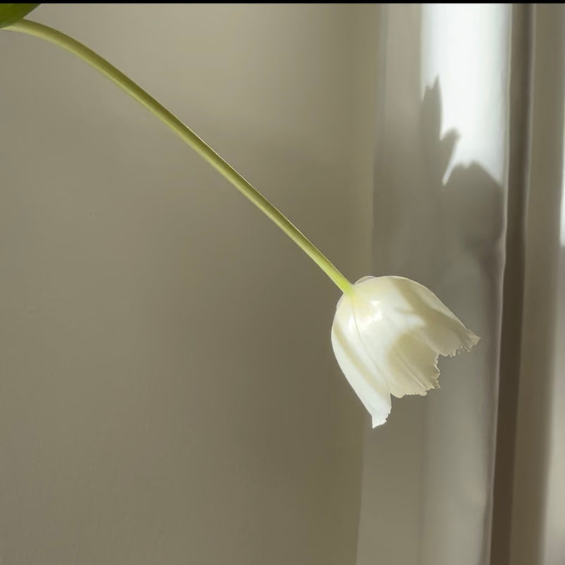 Week 4: 31 Days of Mindfulness